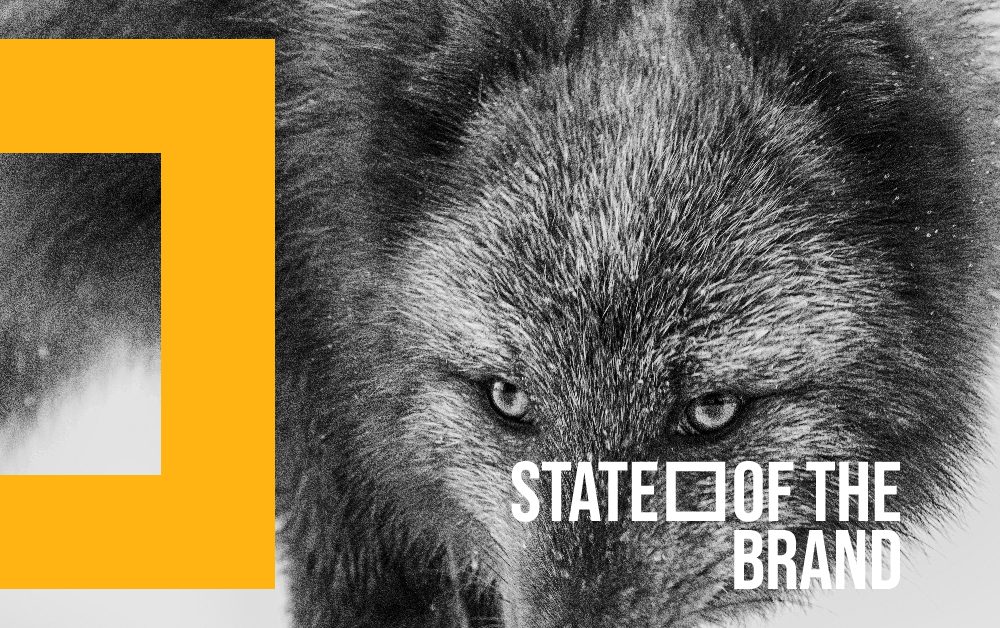 State of the Brand: Nordic Equilibrium